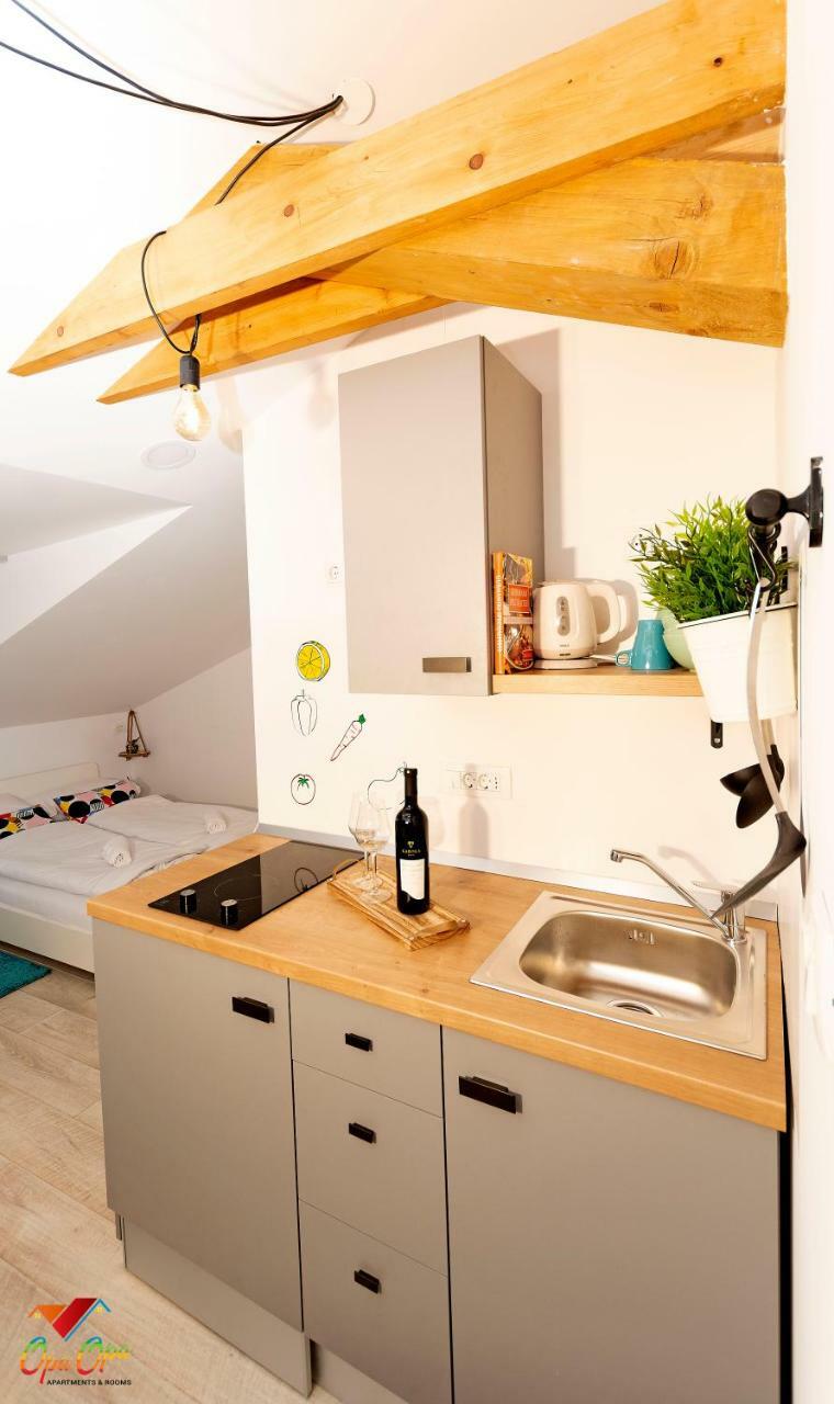 Apartments Opa Opa ริเยกา ภายนอก รูปภาพ